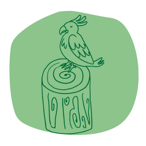 educazione ambientale