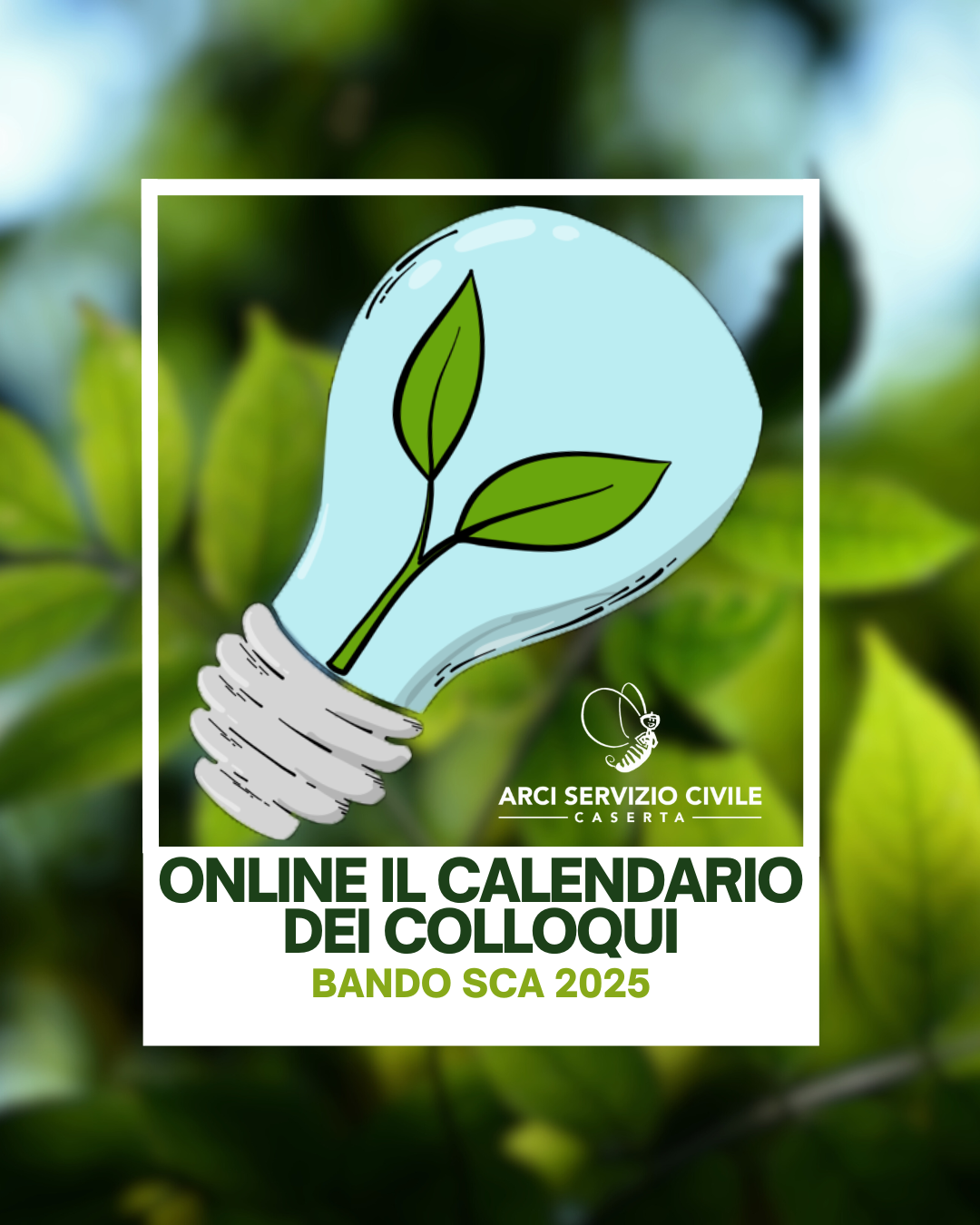 ONLINE I CALENDARI DEI COLLOQUI