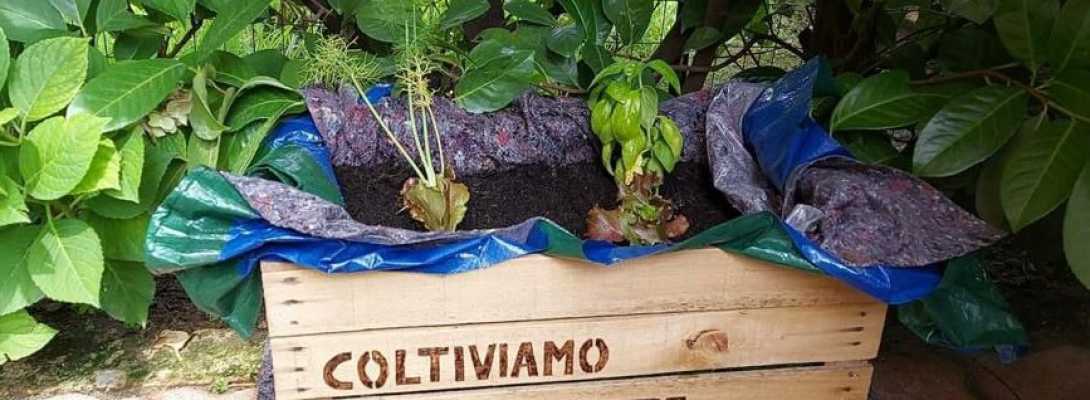 Foto descrittiva del progetto