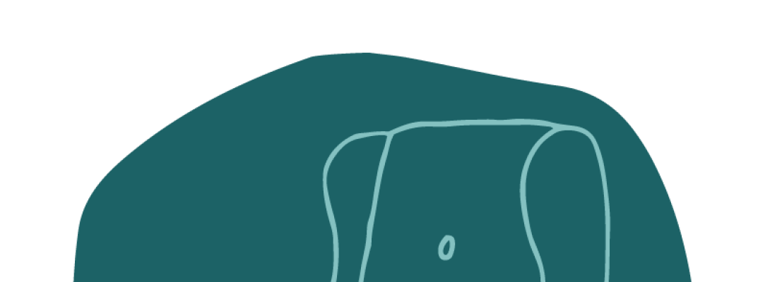 tutela del patrimonio storico e artistico