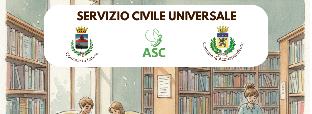 Locandina Biblioteche